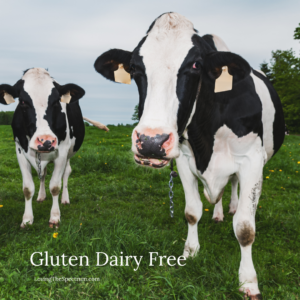 cow text gluten dairy free
