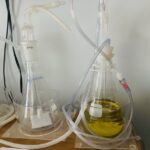 Breathing through Ozone #BOO olive oil insufflation